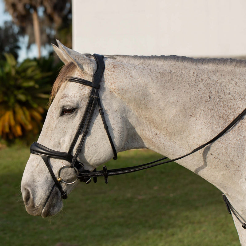 Equinavia Valkyrie Alternative Flash Bridle with Rubber Reins