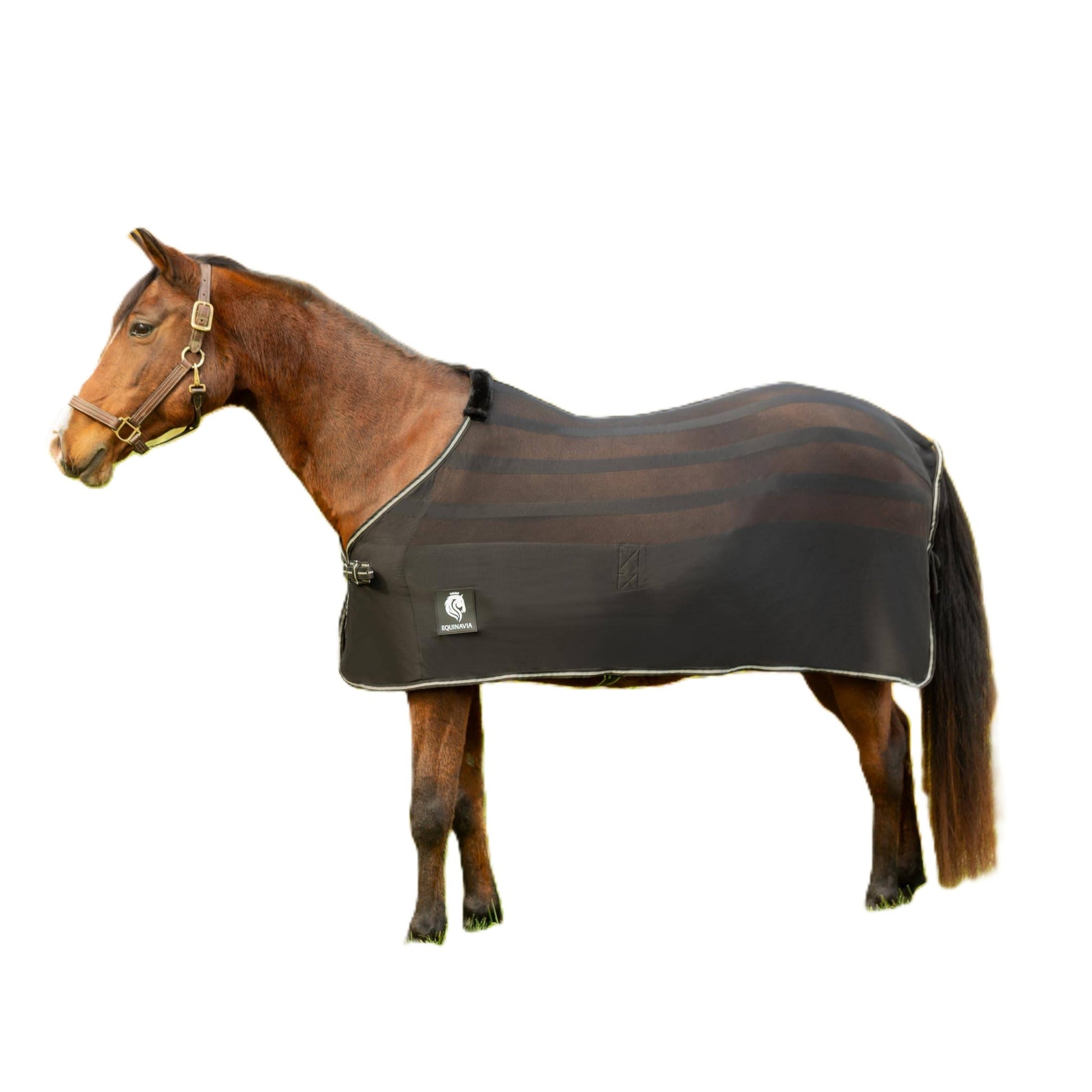 Equinavia Sefyr Scrim Sheet