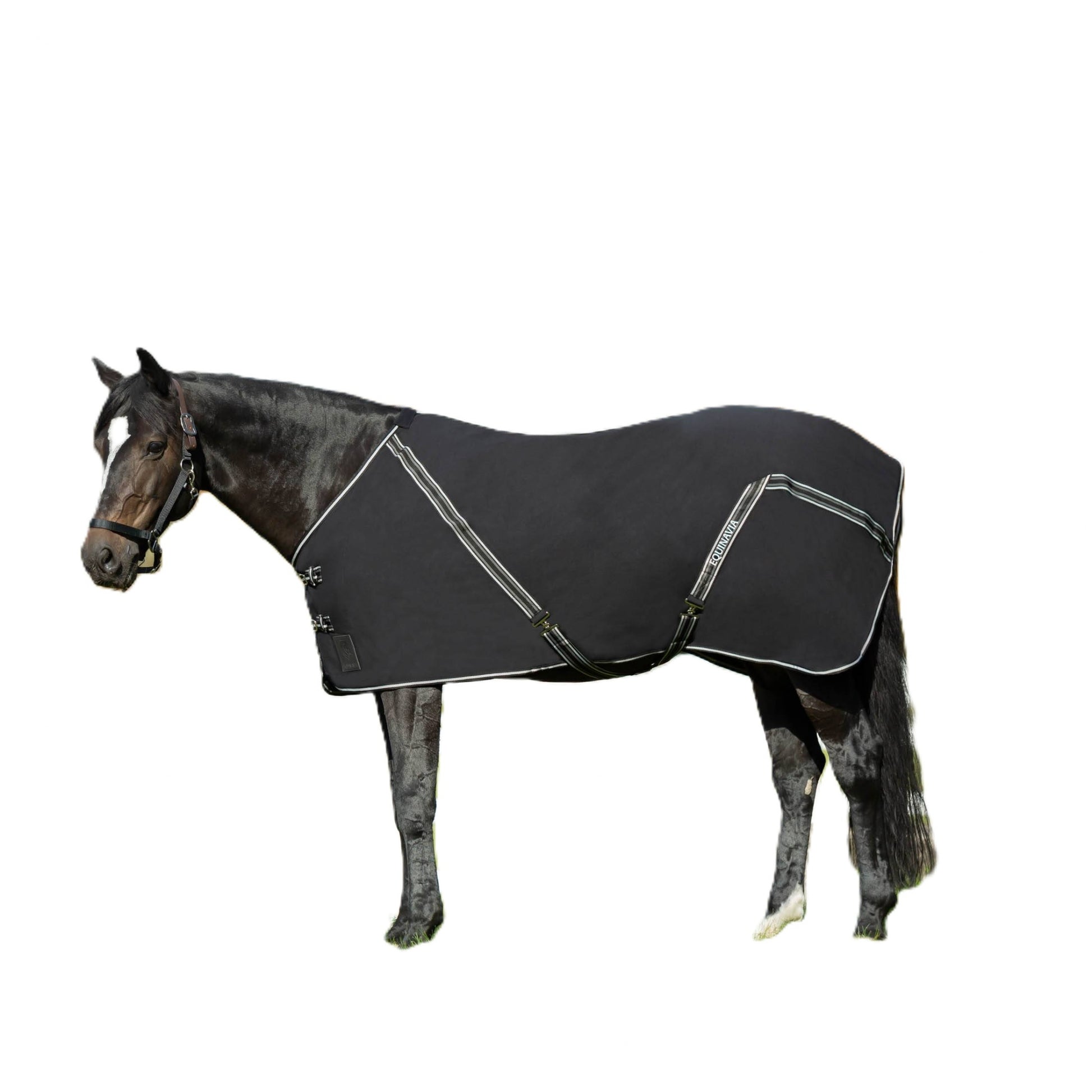 Equinavia Fryd Cotton Stable Sheet