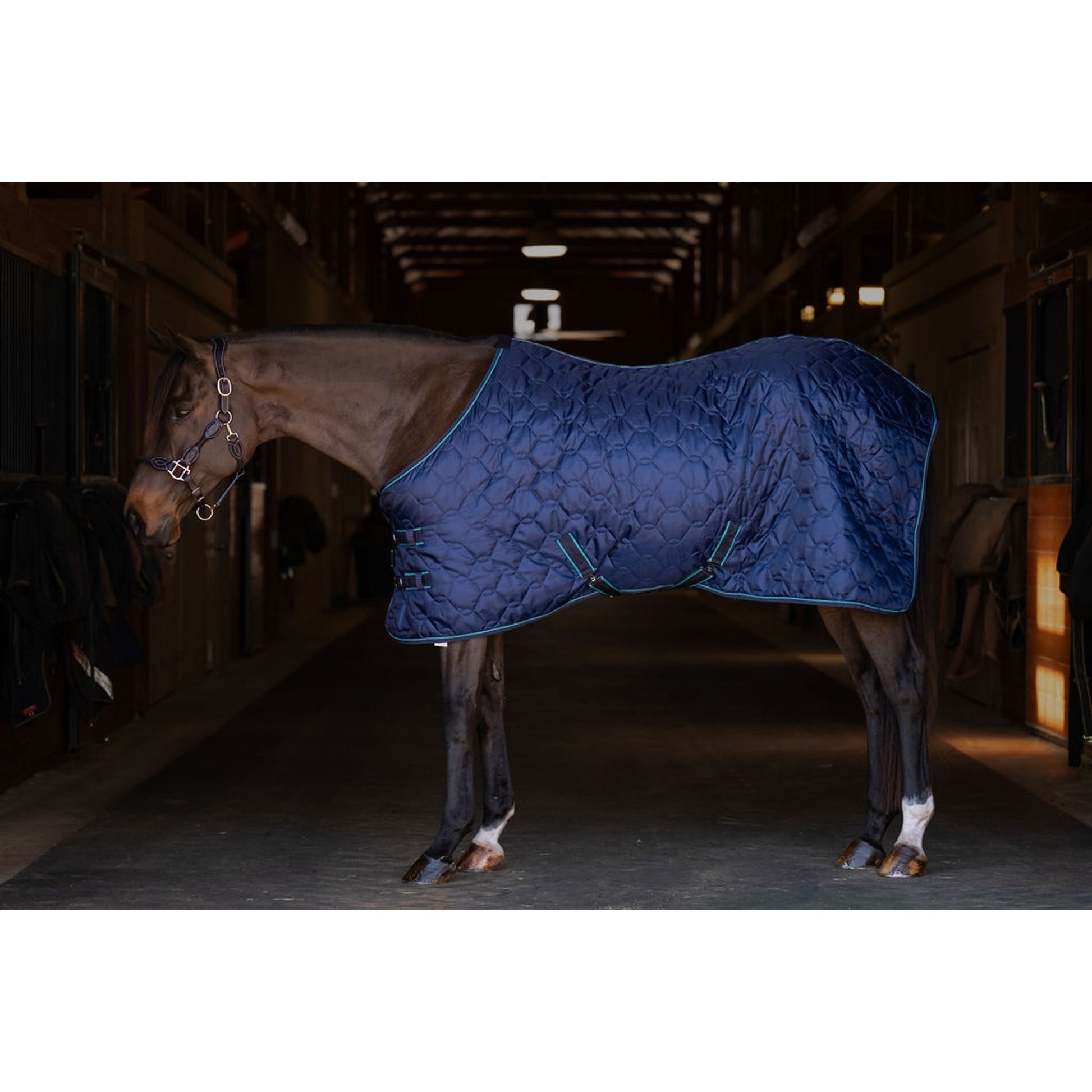 TuffRider Comfy Standard Neck Medium Weight Stable Blanket- 420D, 150GSM