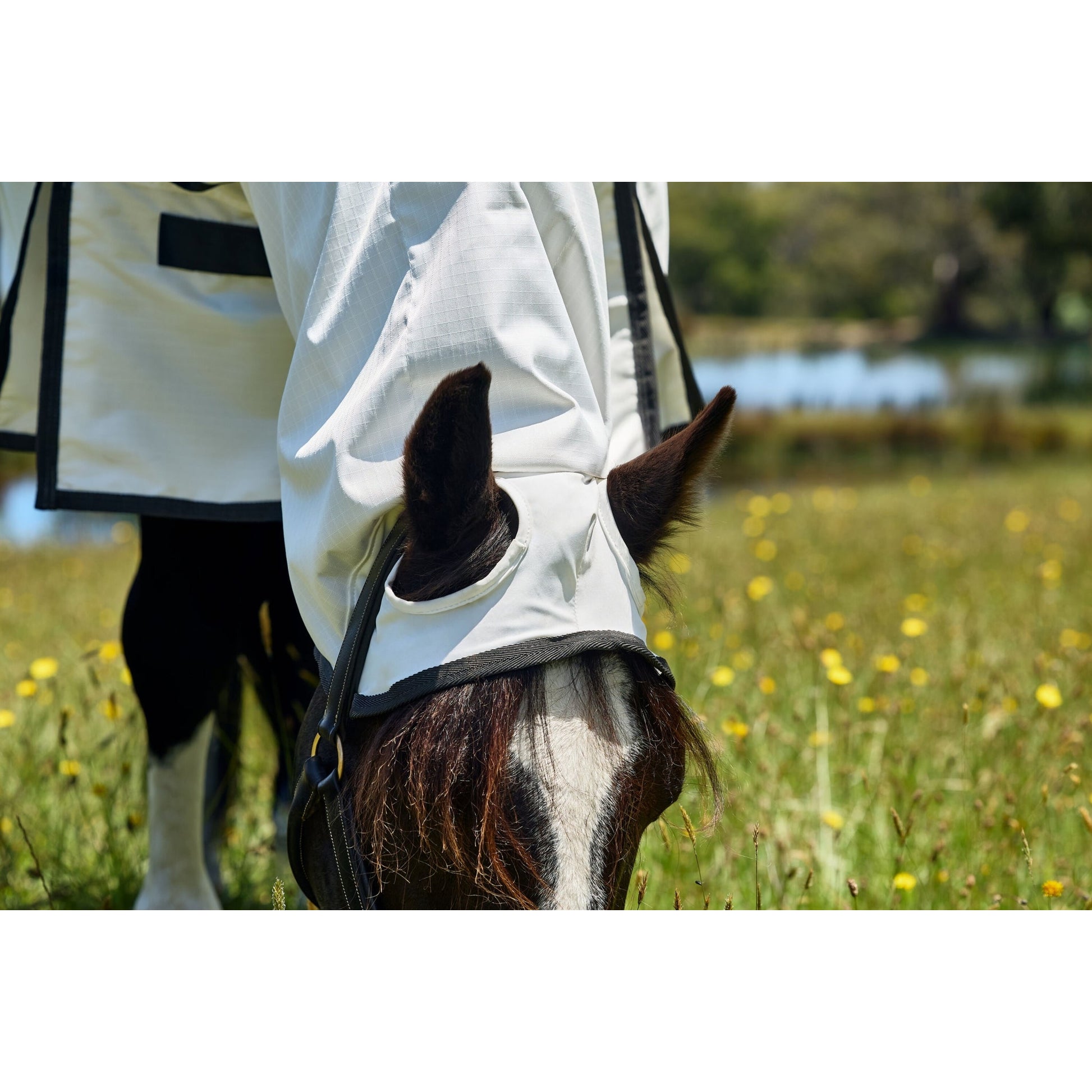 Weatherbeeta Sweet Itch Shield Combo Neck