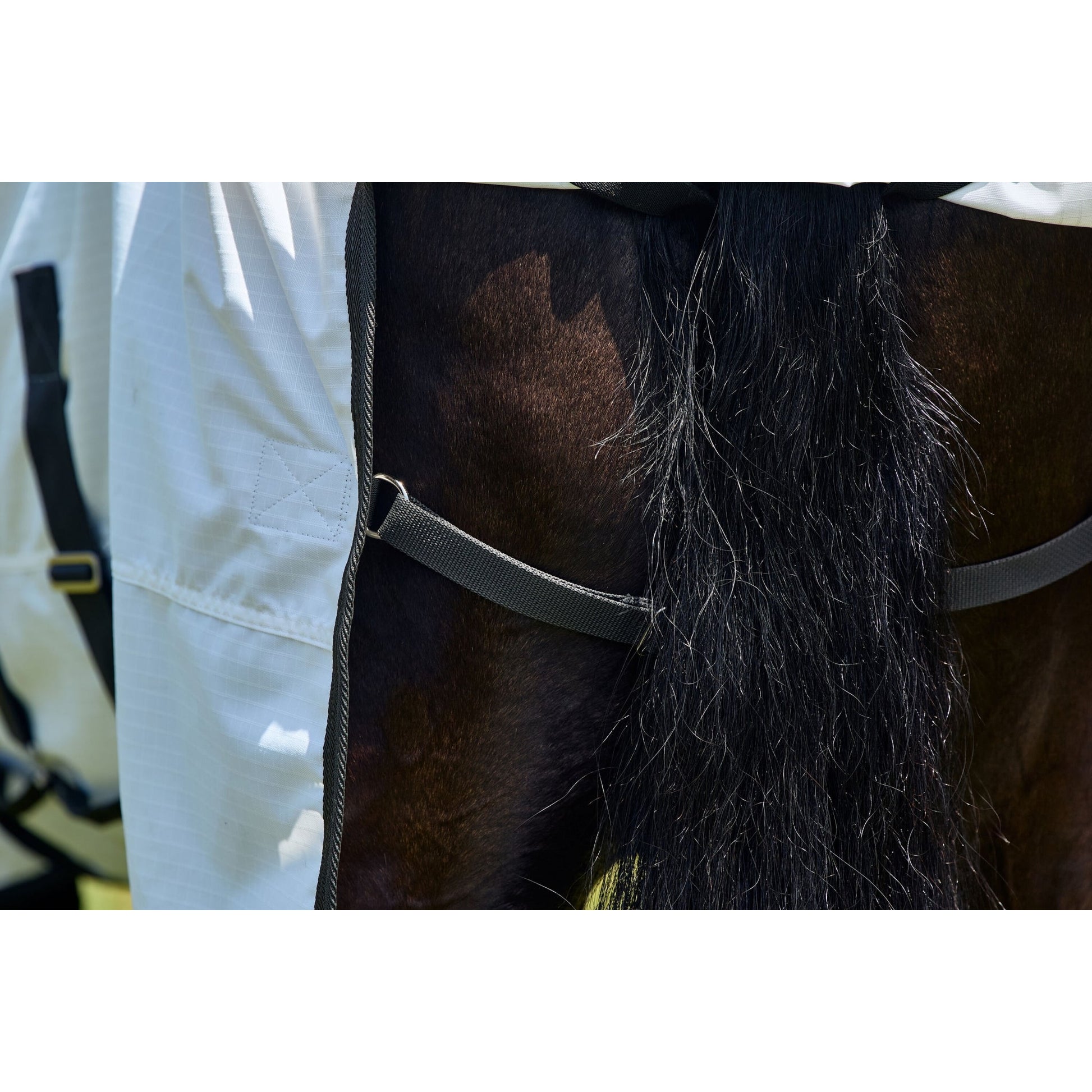 Weatherbeeta Sweet Itch Shield Combo Neck
