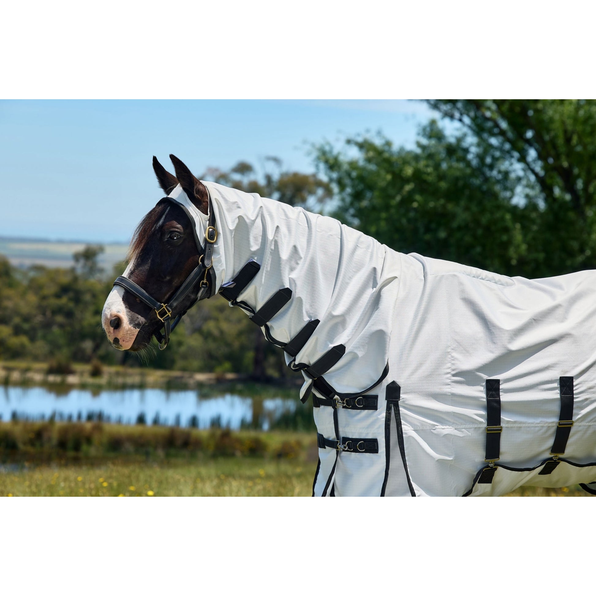 Weatherbeeta Sweet Itch Shield Combo Neck