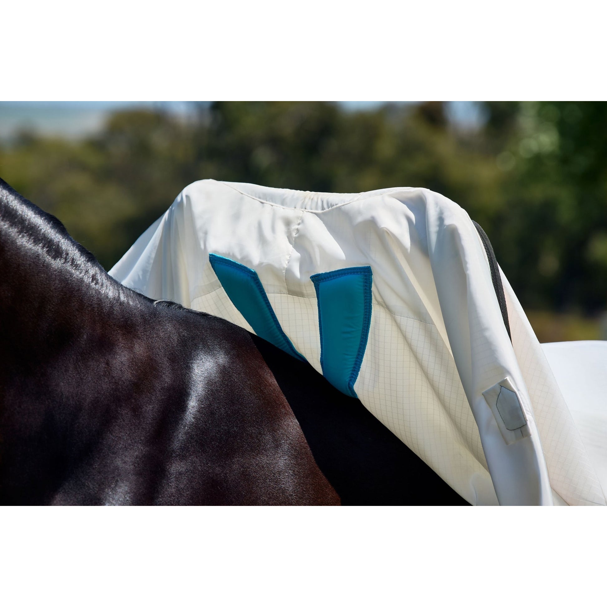 Weatherbeeta Sweet Itch Shield Combo Neck