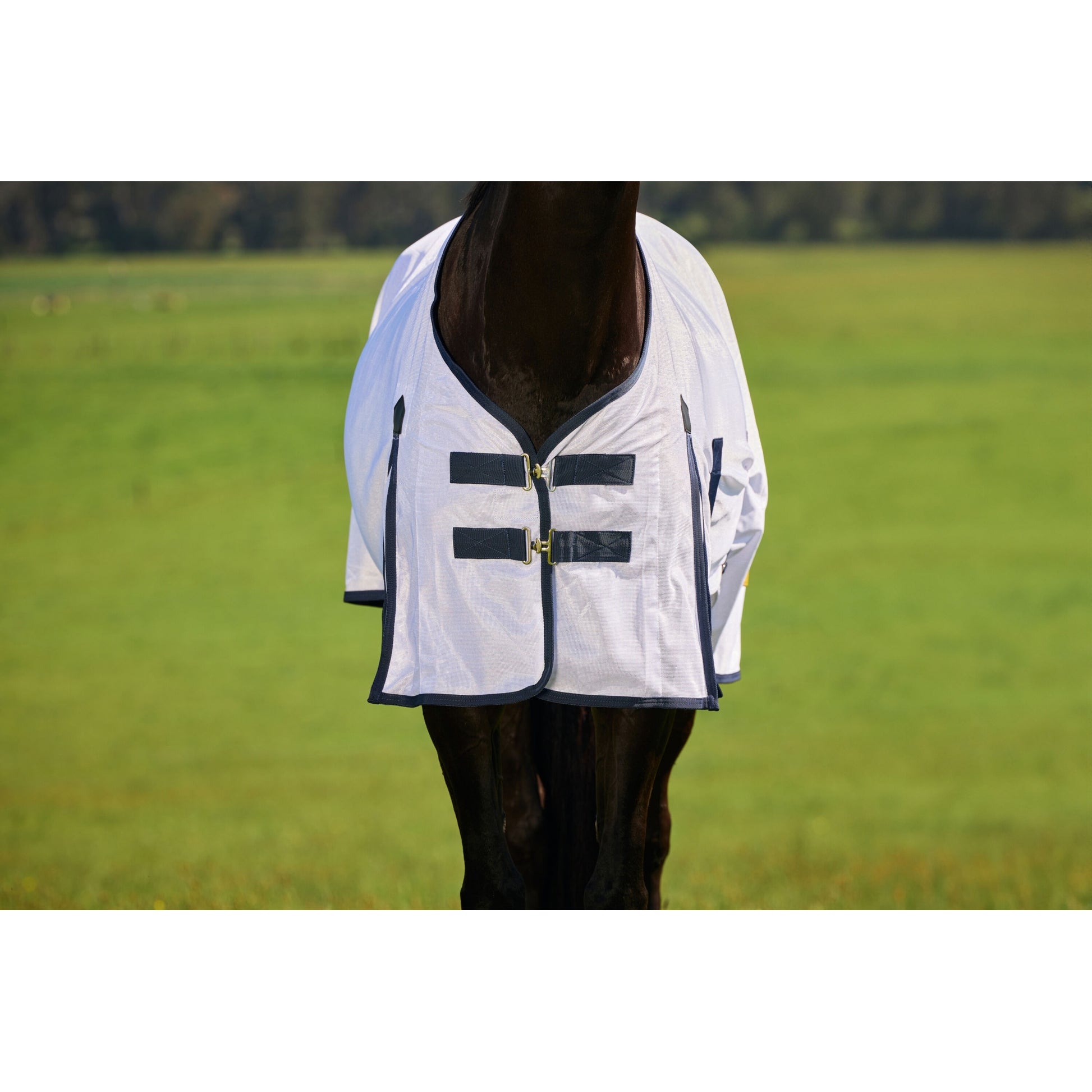 Saxon Mesh Fly Sheet Standard Neck
