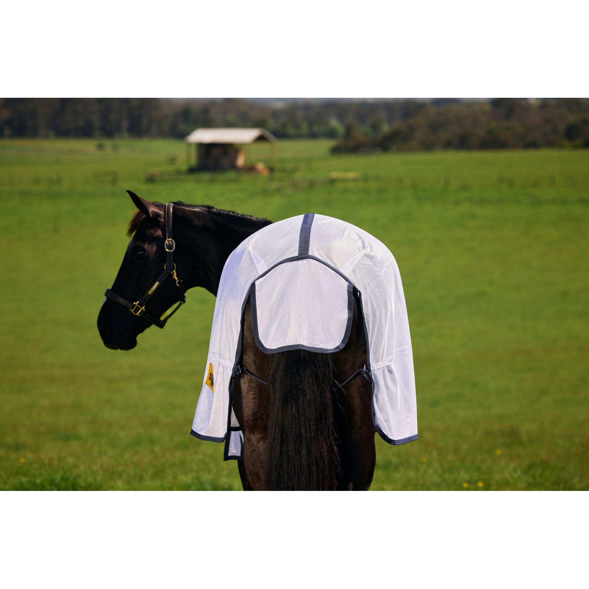Saxon Mesh Fly Sheet Standard Neck