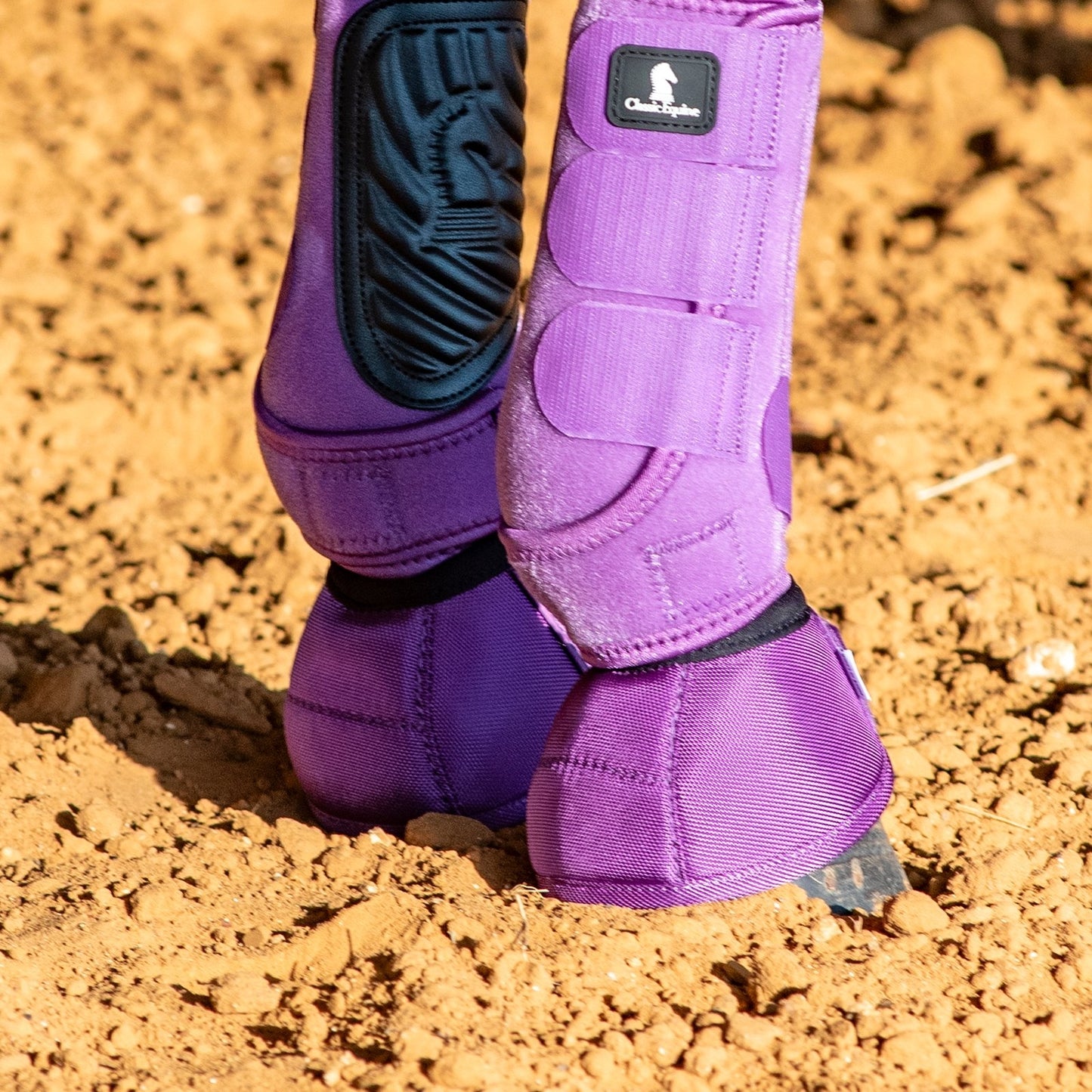 4-493261-4.jpg