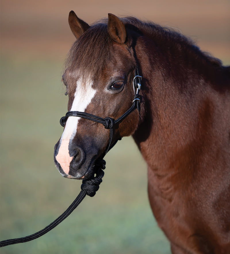 Professionals Choice Easy On Rope Halter