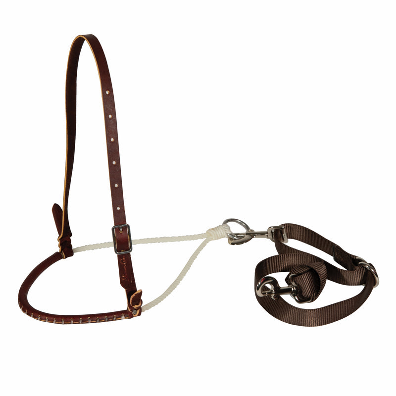 Professionals Choice Pony Tiedown Set