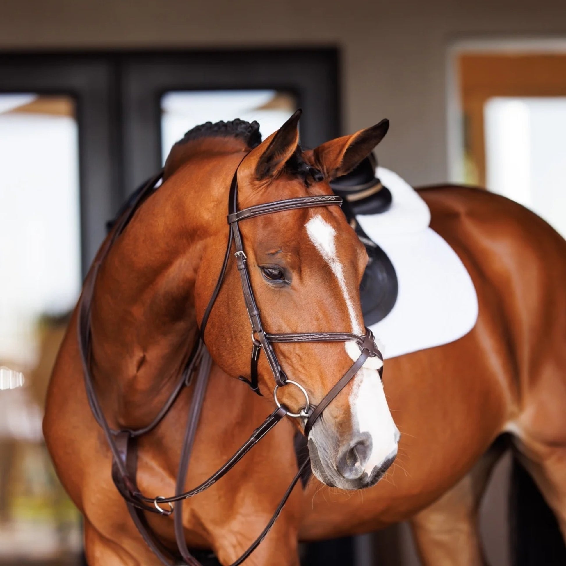 Shires Velociti Fancy Raised Rubber Reins
