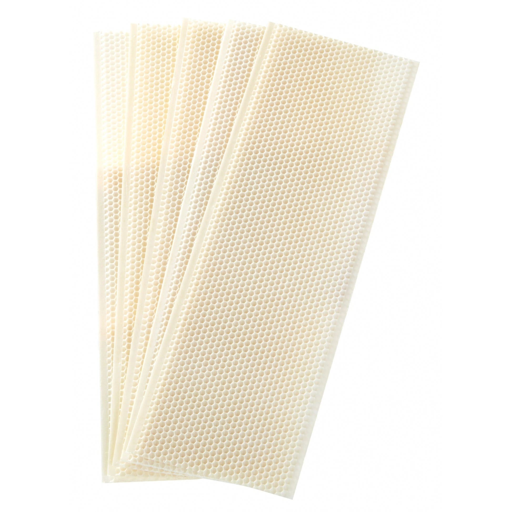 Little Giant Medium Wax Coated Plastic Foundation