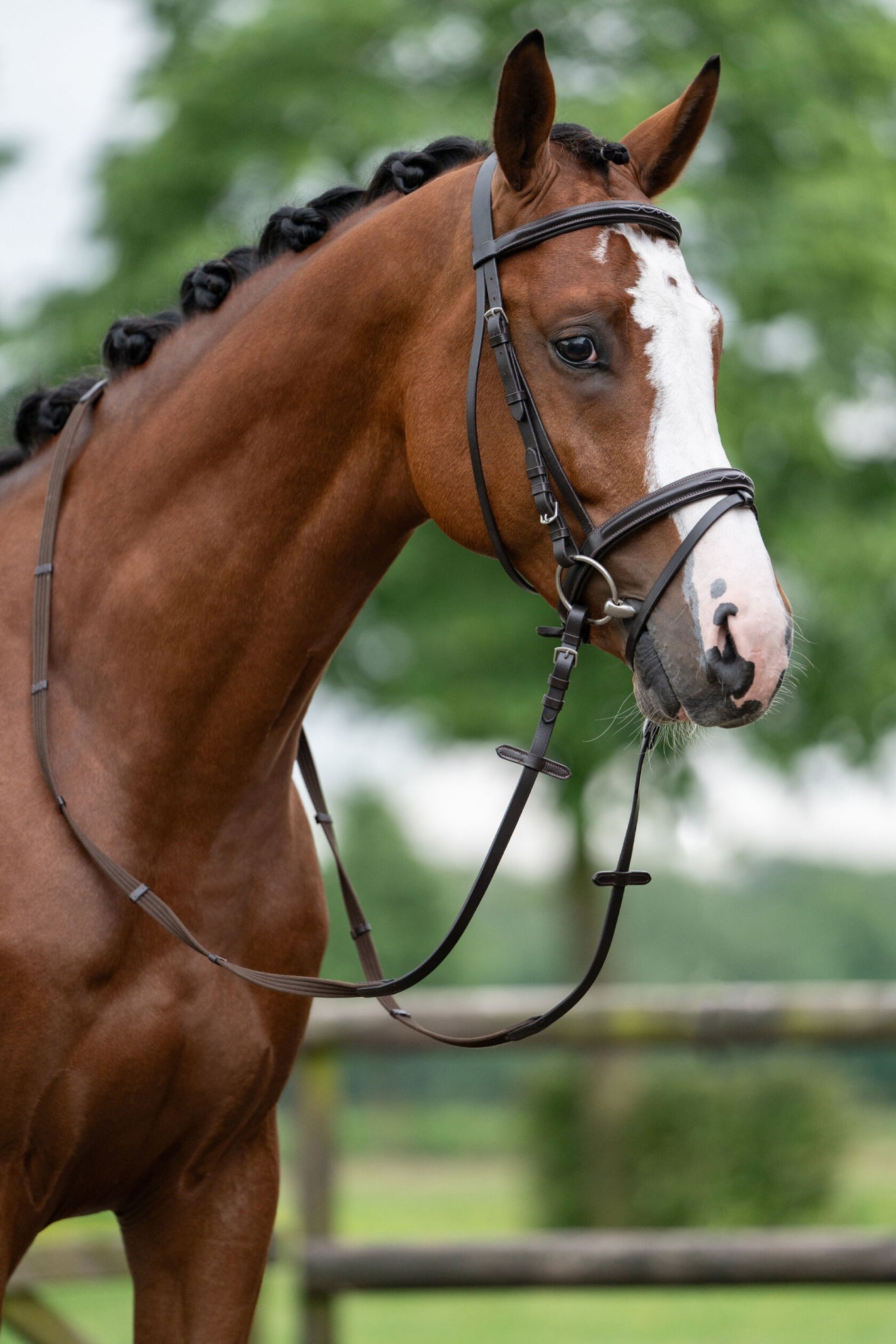 HKM Jana Bridle - Thumbnail 5