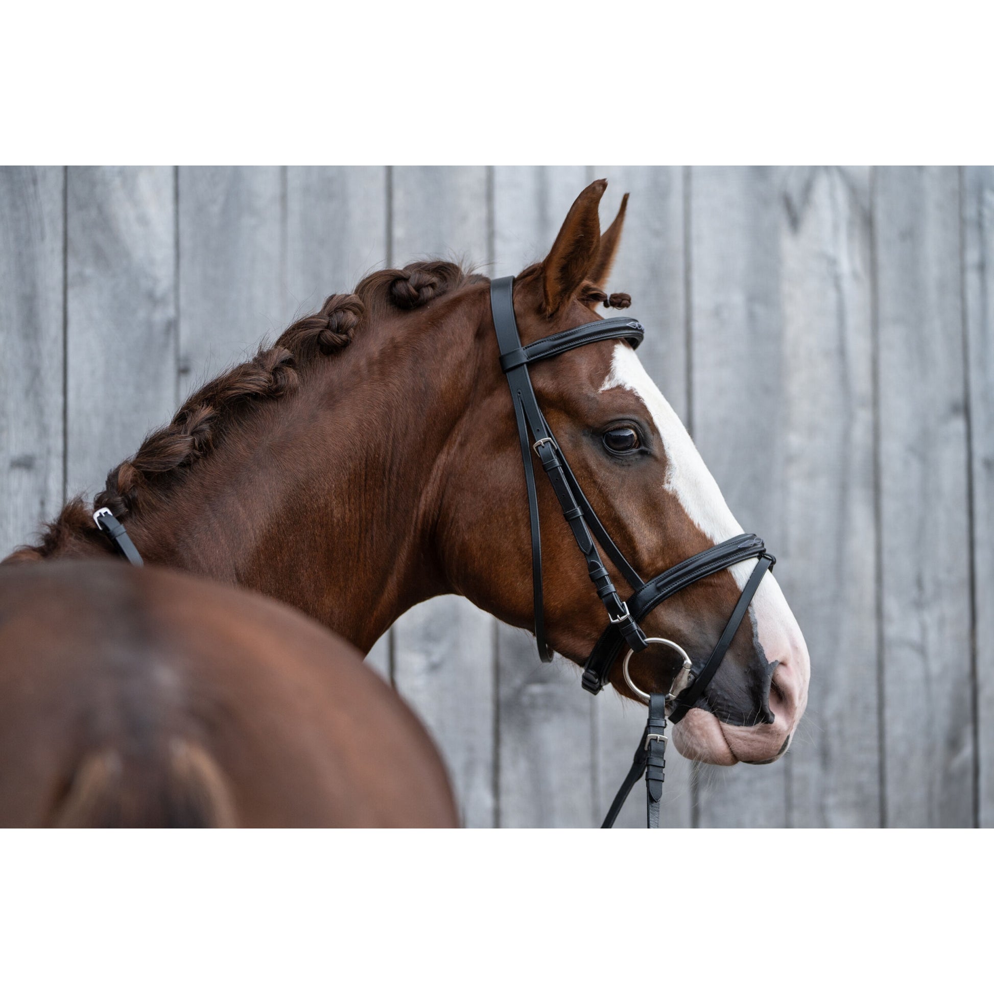 HKM Jana Bridle