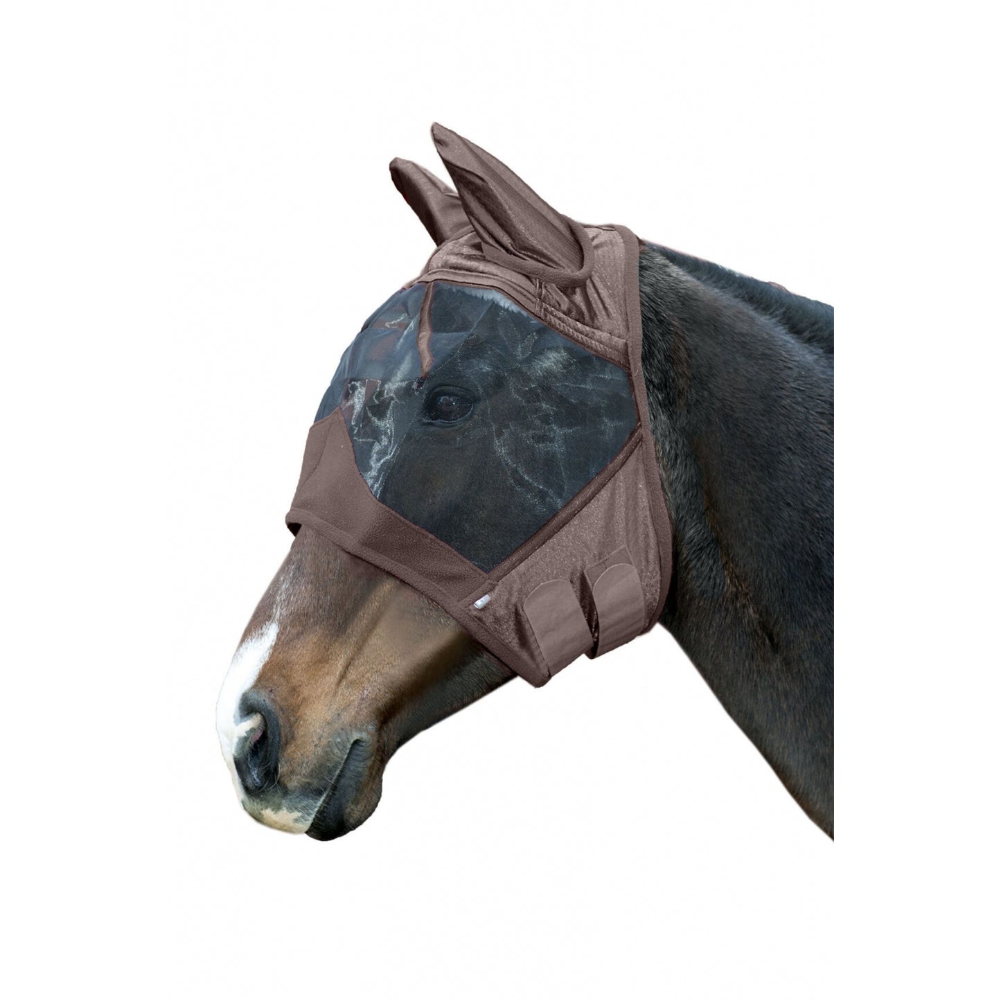 4-501234.jpg