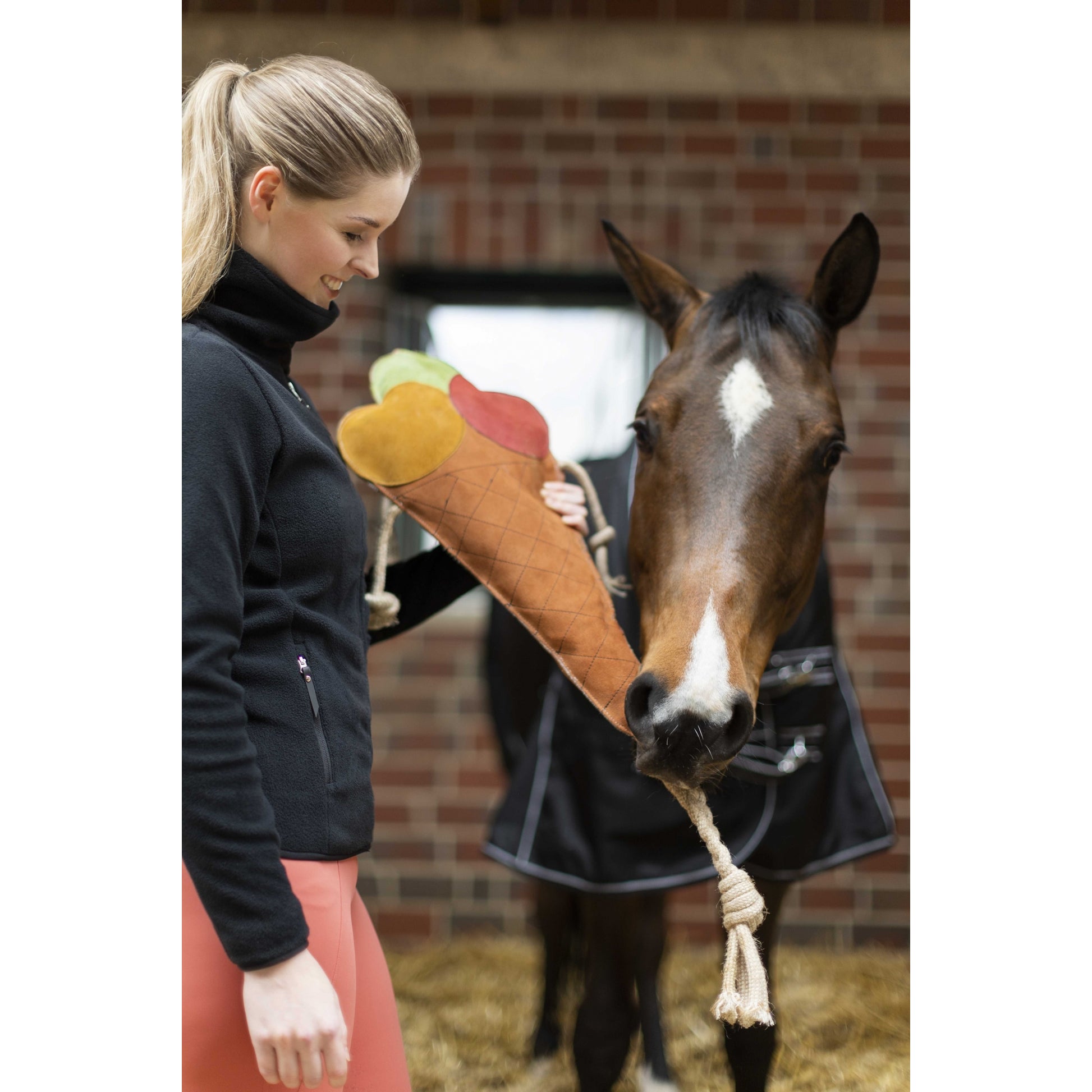 HKM Ice Cream Toy For Horses