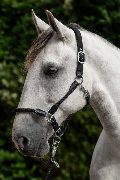 HKM Carlotta Head Collar
