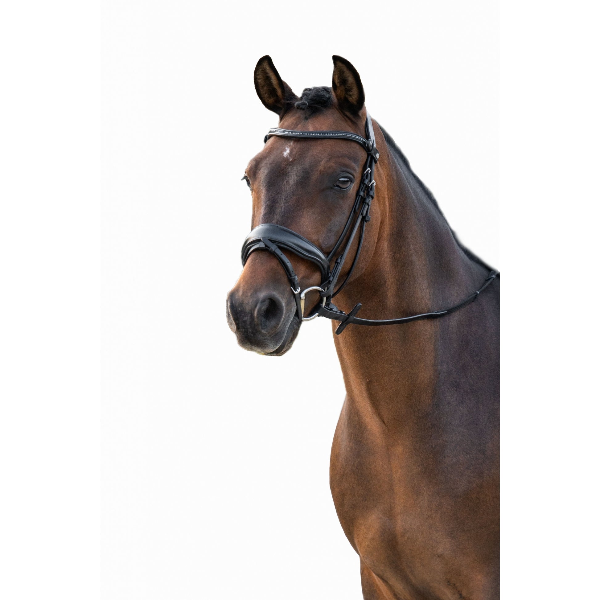 HKM Ira Bridle