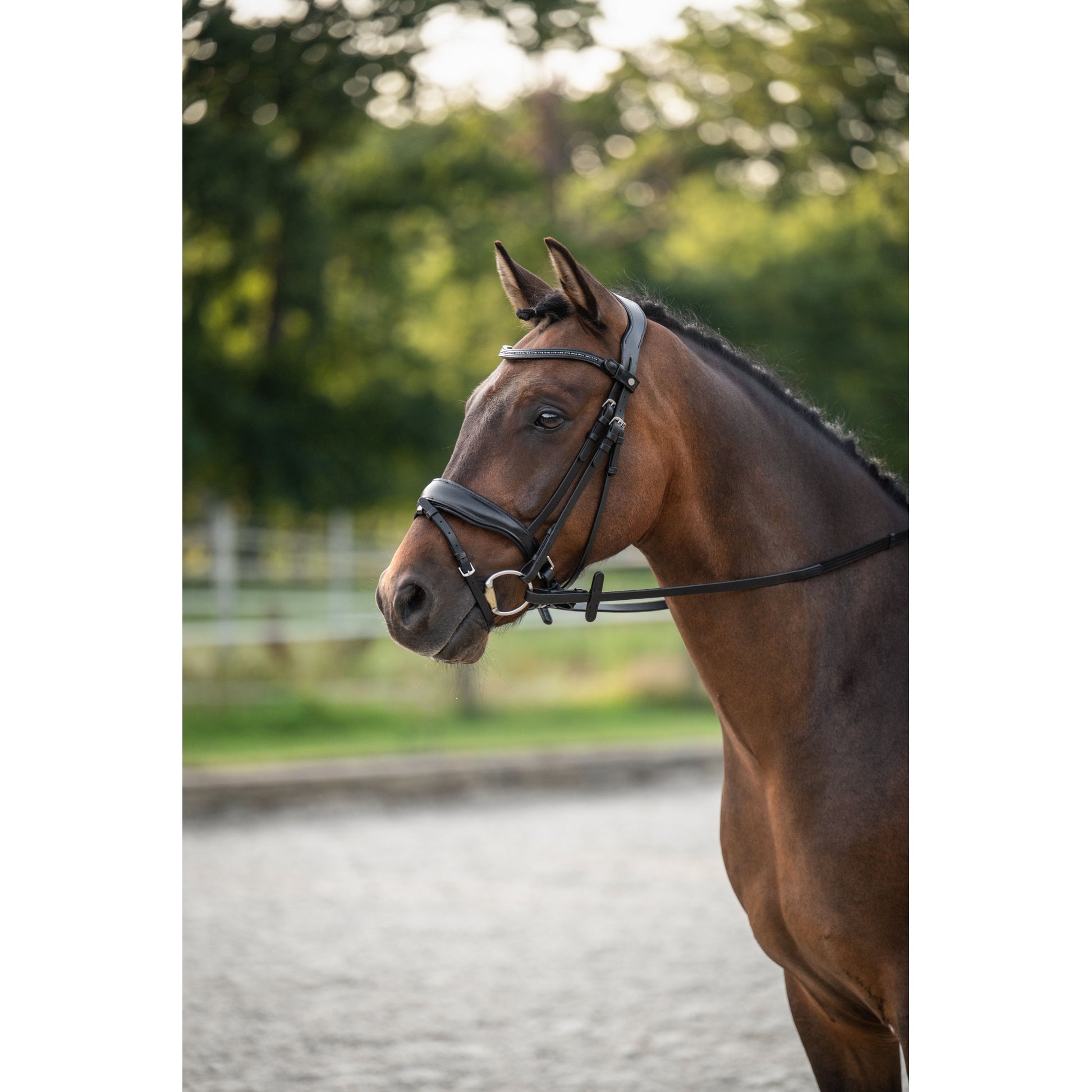 HKM Ira Bridle