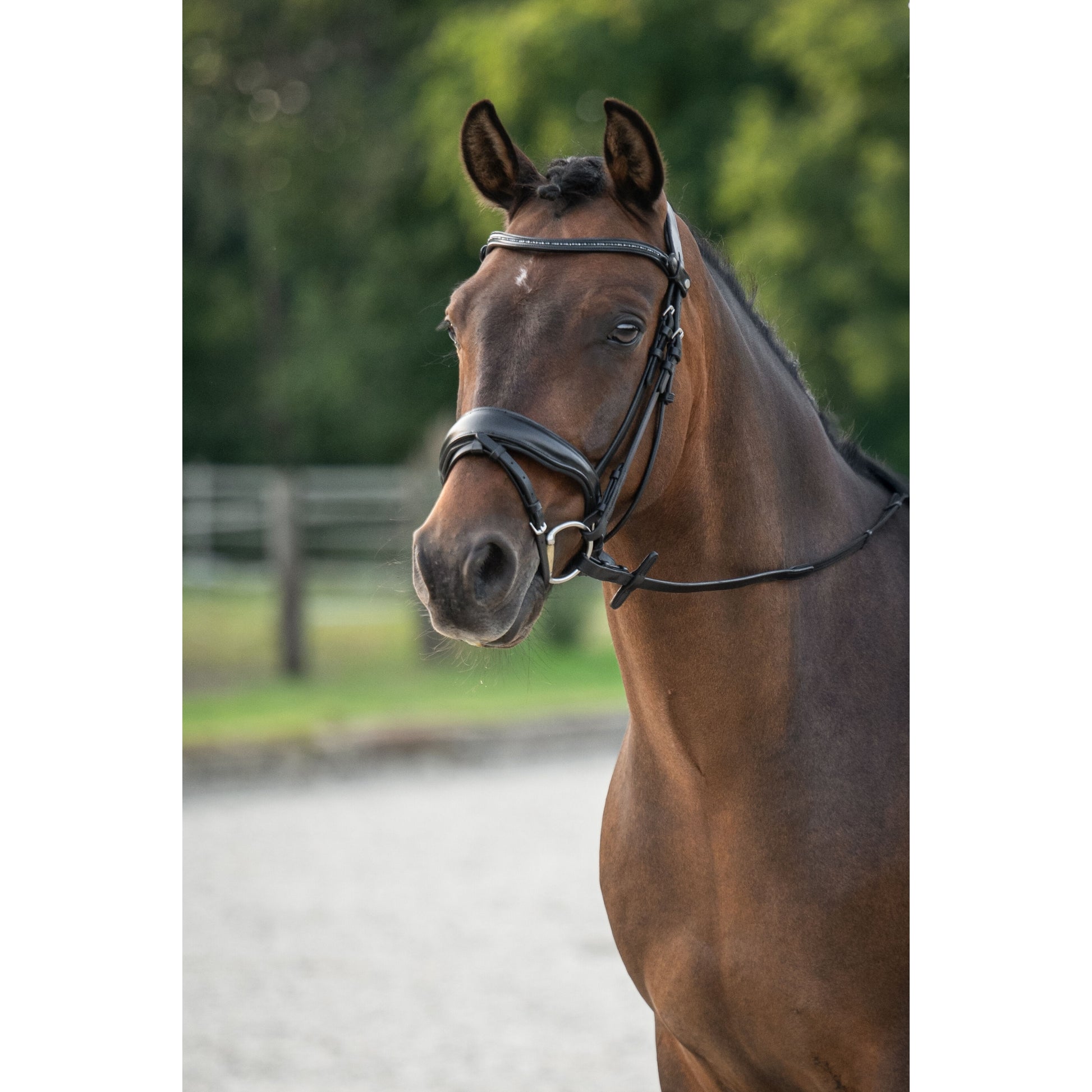 HKM Ira Bridle