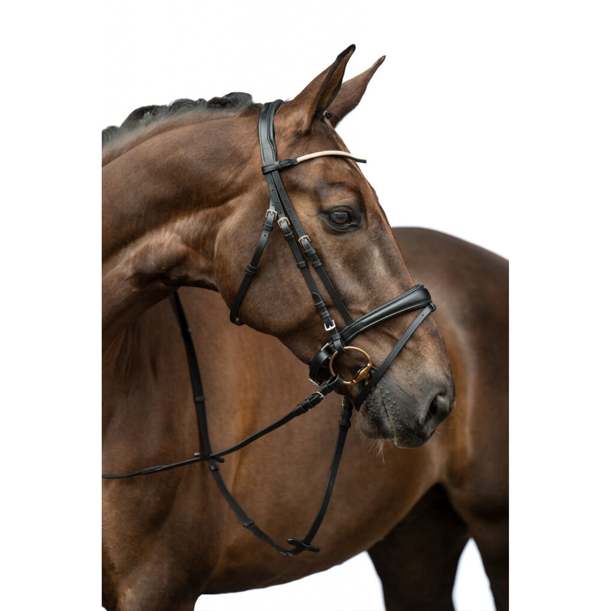 HKM Kopenhagen Bridle