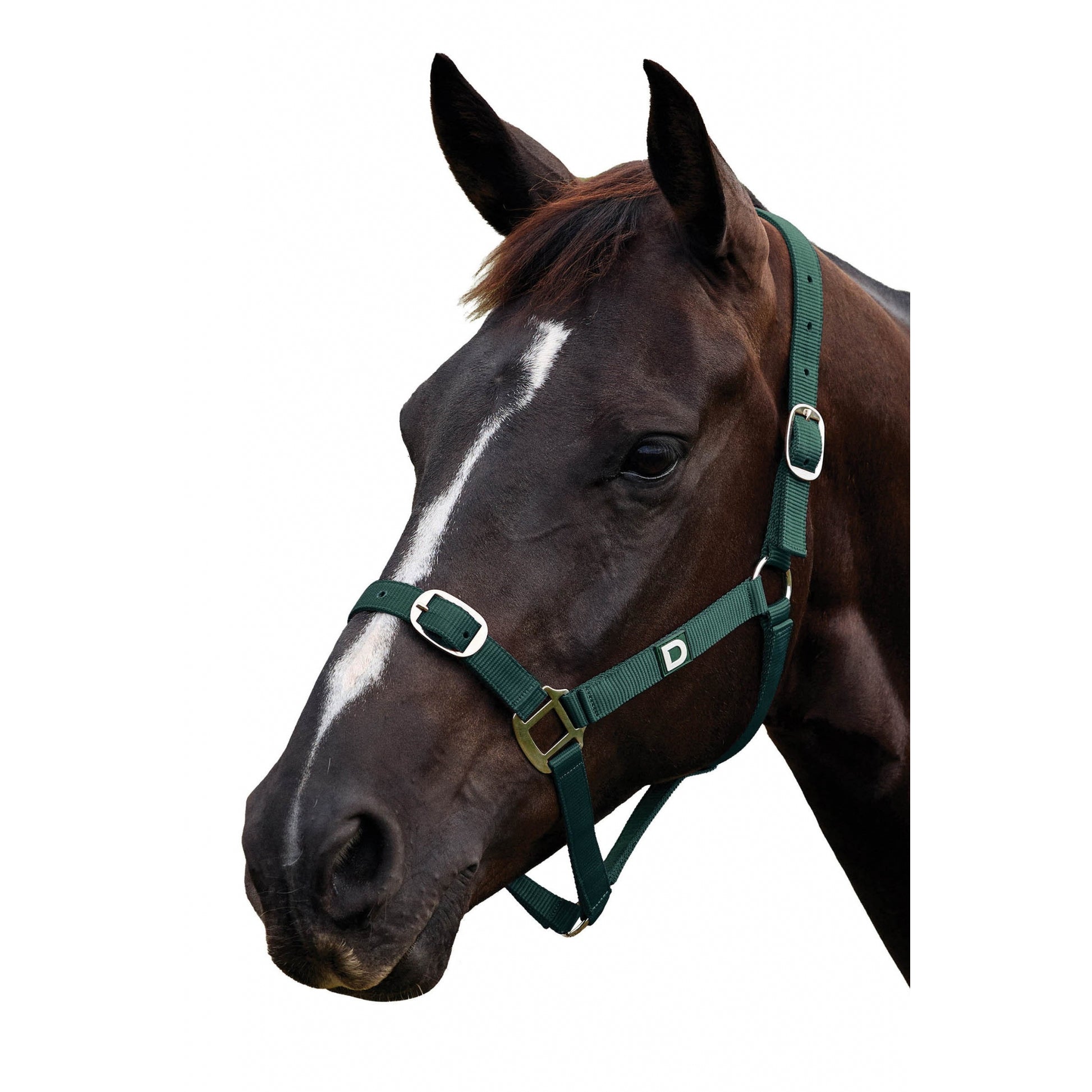 Dublin Everyday Breakaway Halter