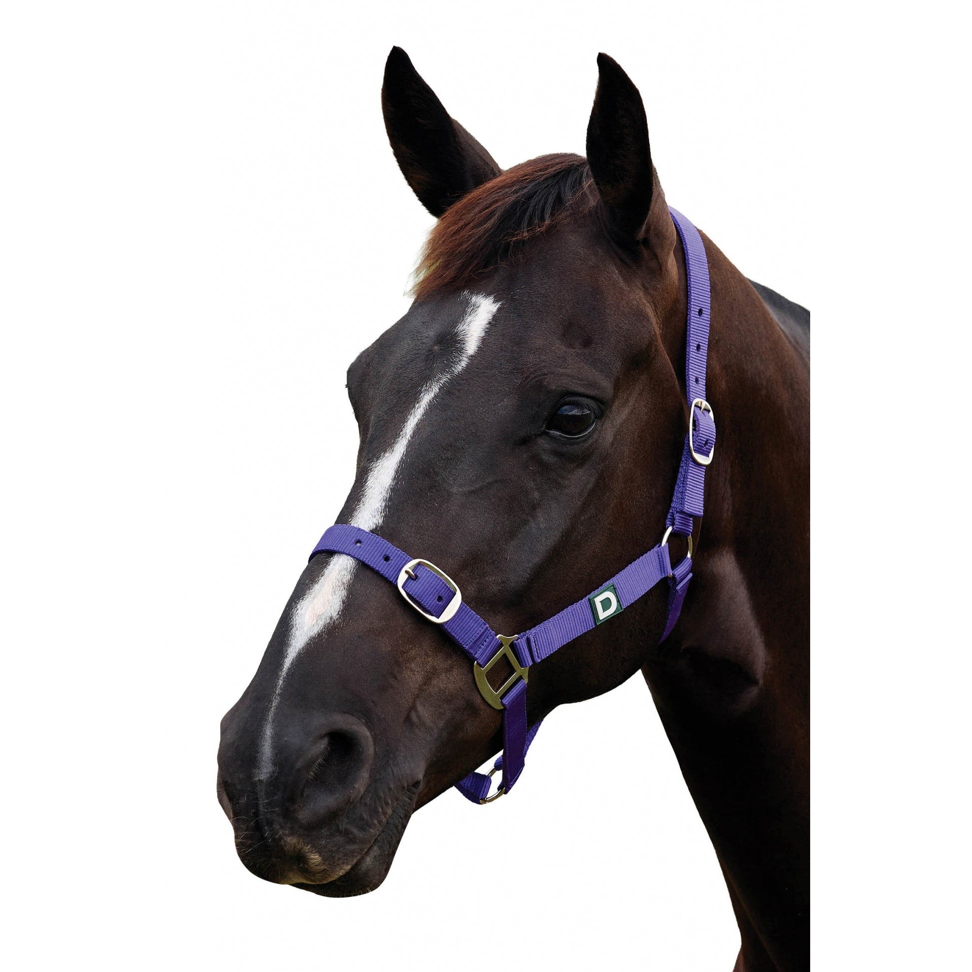 Dublin Everyday Breakaway Halter