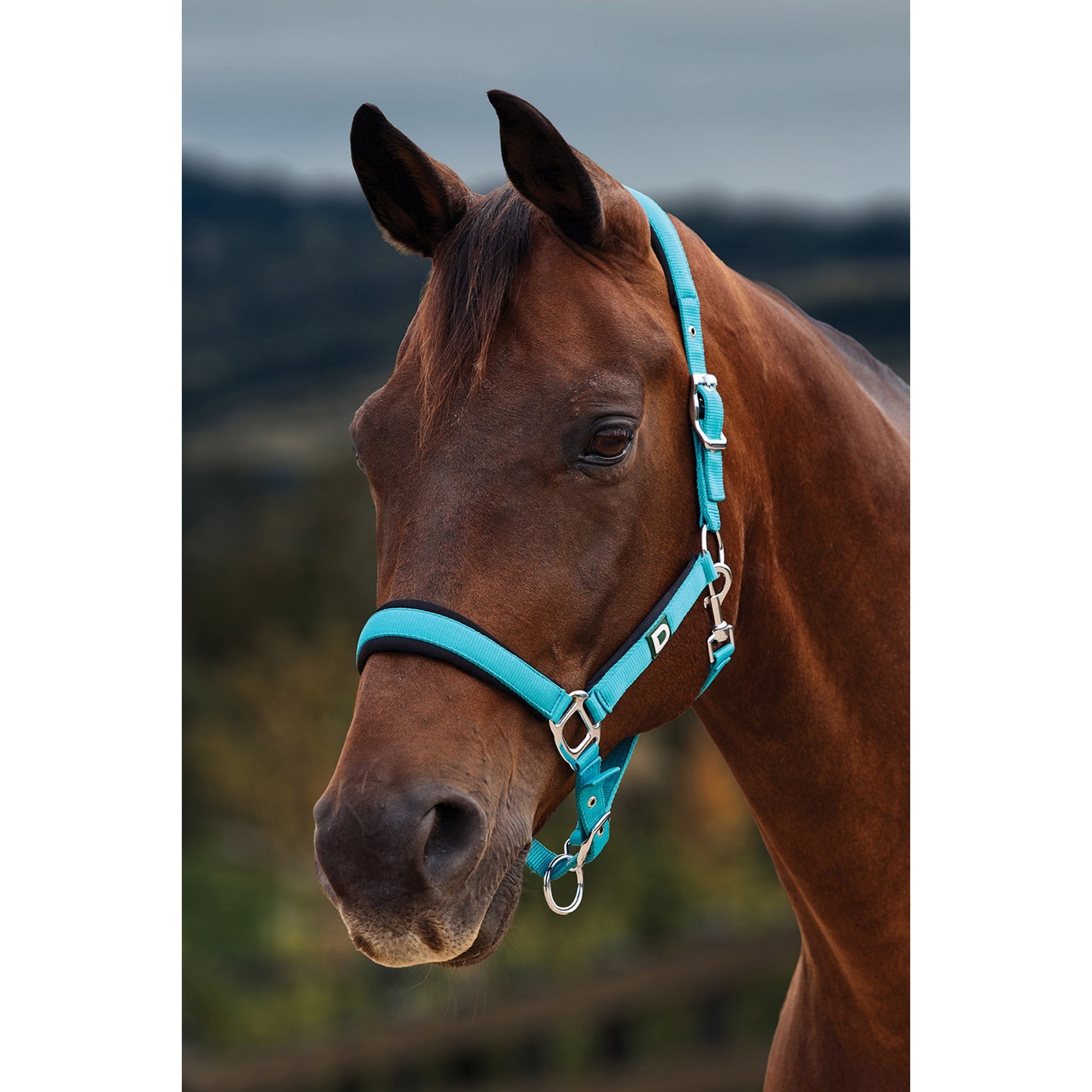 Dublin Neo Comfort Breakaway Halter