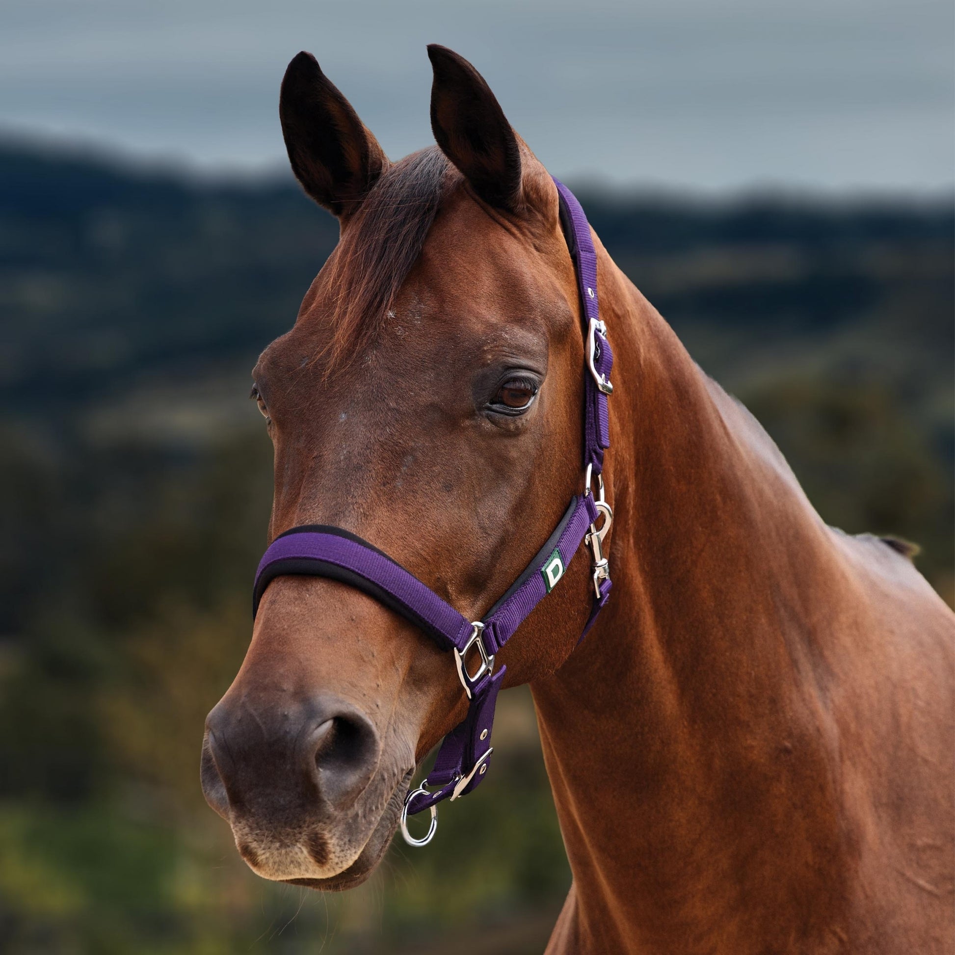 Dublin Neo Comfort Breakaway Halter