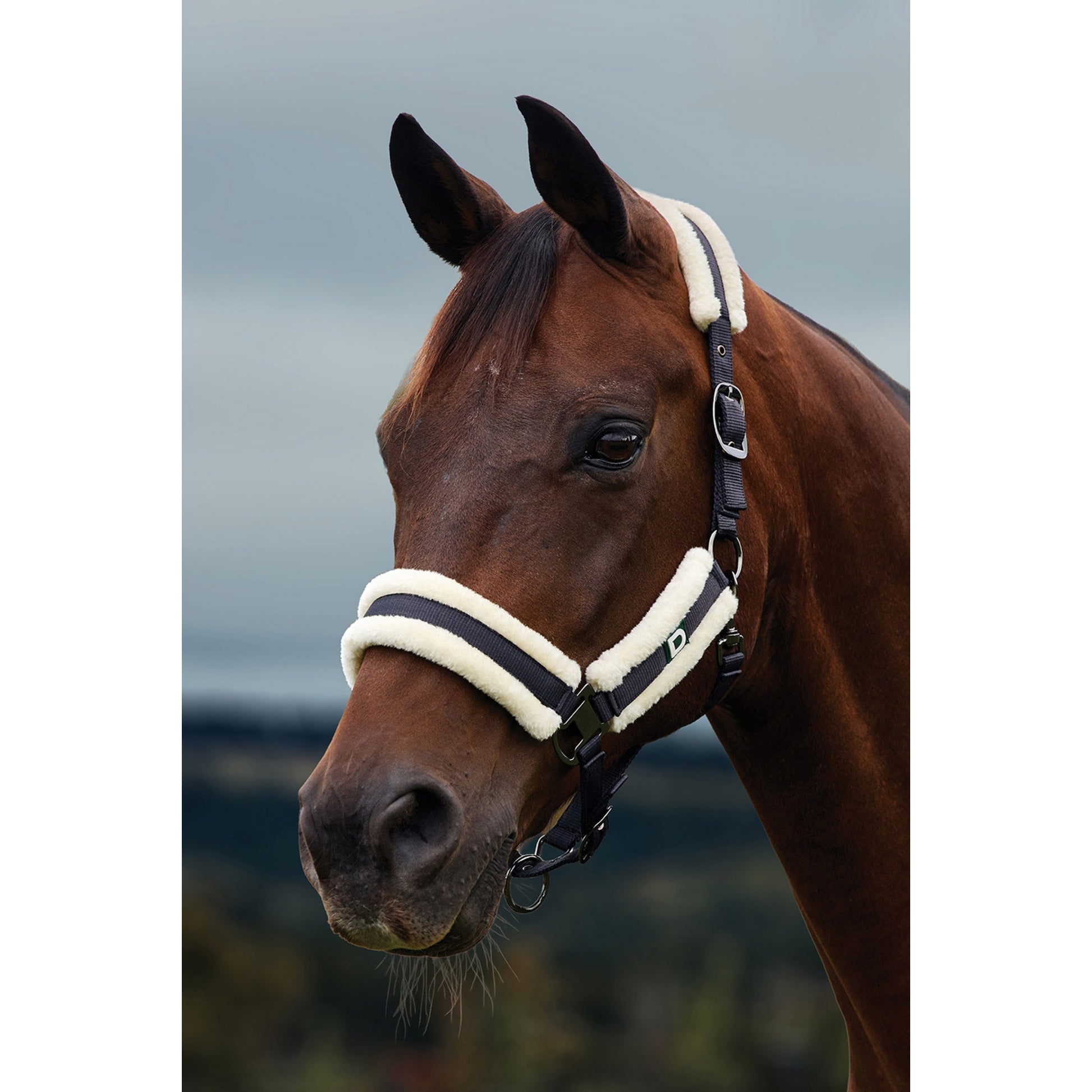 Dublin Soft Fit Breakaway Halter