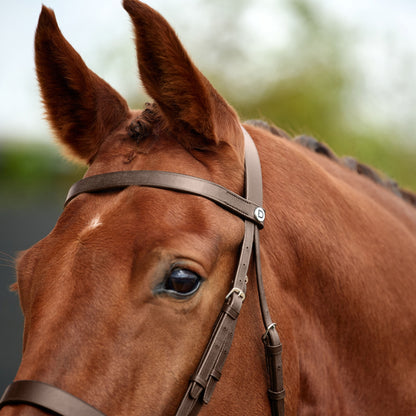 Dublin Flat Cavesson Bridle