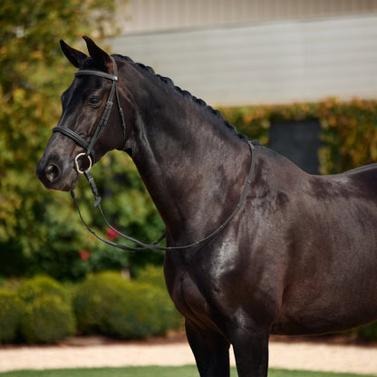 Dublin Padded Cavesson Bridle