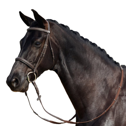 Dublin Padded Cavesson Bridle