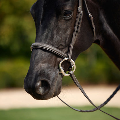 Dublin Padded Fancy Stitch Hunt Bridle
