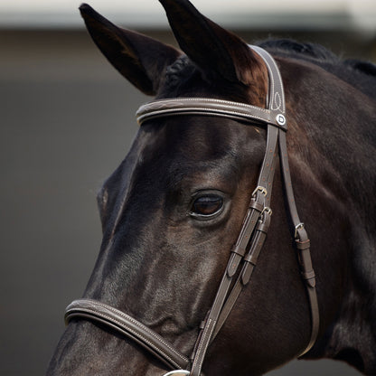 Dublin Padded Fancy Stitch Hunt Bridle