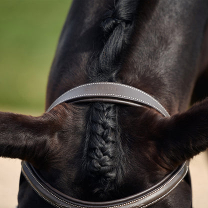 Dublin Padded Fancy Stitch Hunt Bridle