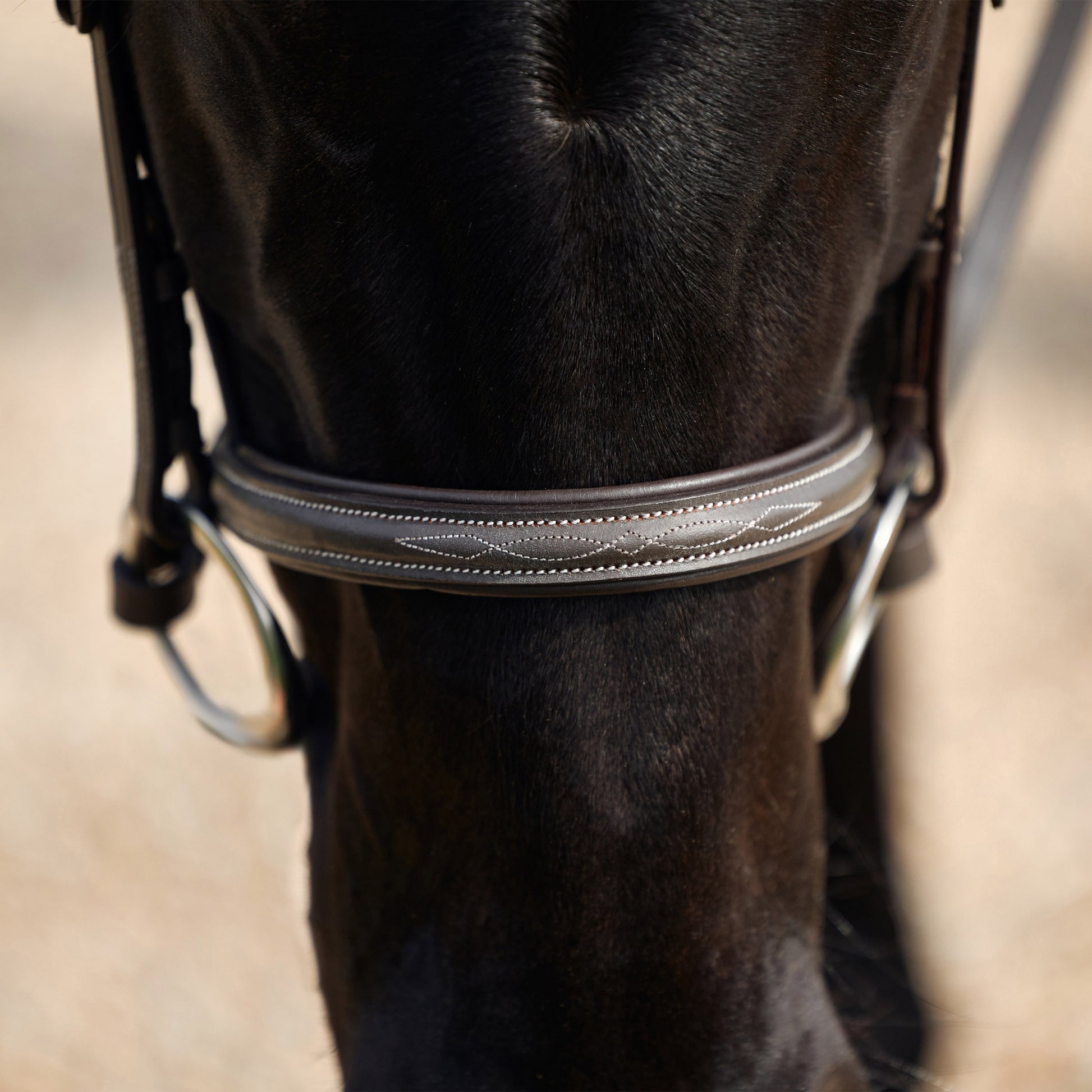 Dublin Padded Fancy Stitch Hunt Bridle
