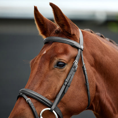 Dublin Flash Bridle