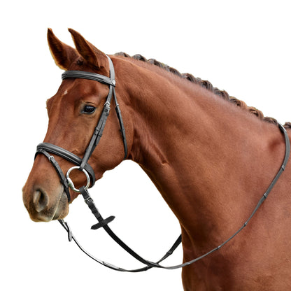 Dublin Flash Bridle