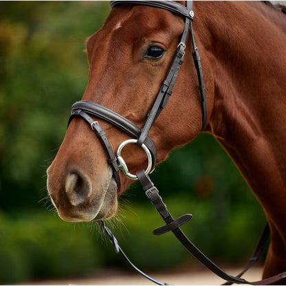 Dublin Flash Bridle