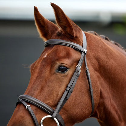 Dublin Flash Bridle