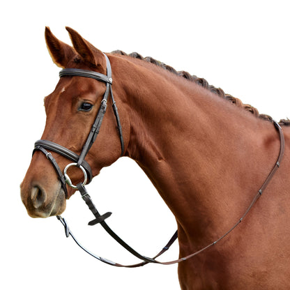 Dublin Flash Bridle