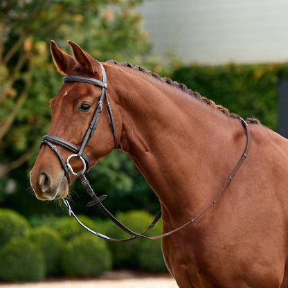 Dublin Flash Bridle