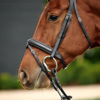Dublin Padded Flash Bridle