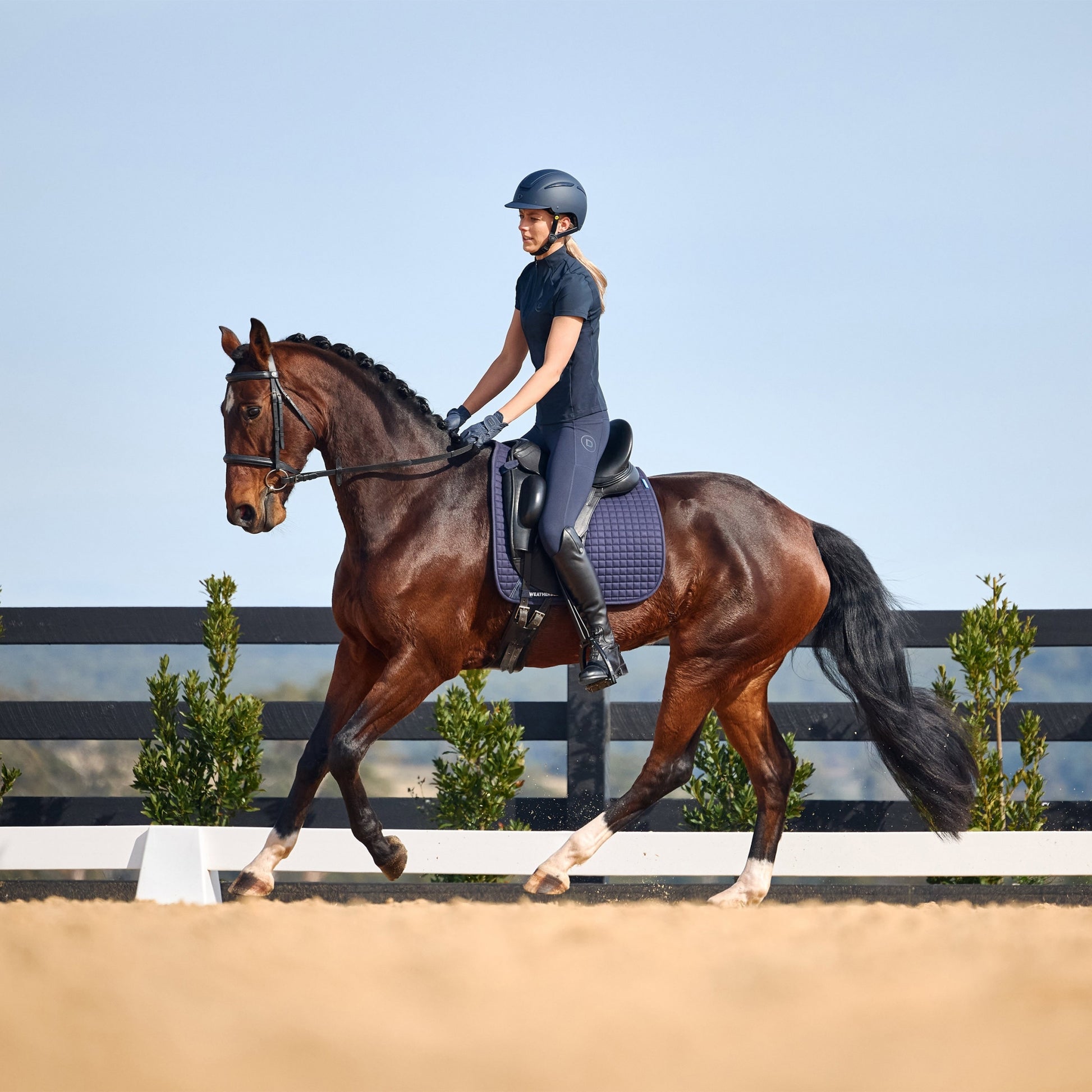 Dublin Padded Flash Bridle