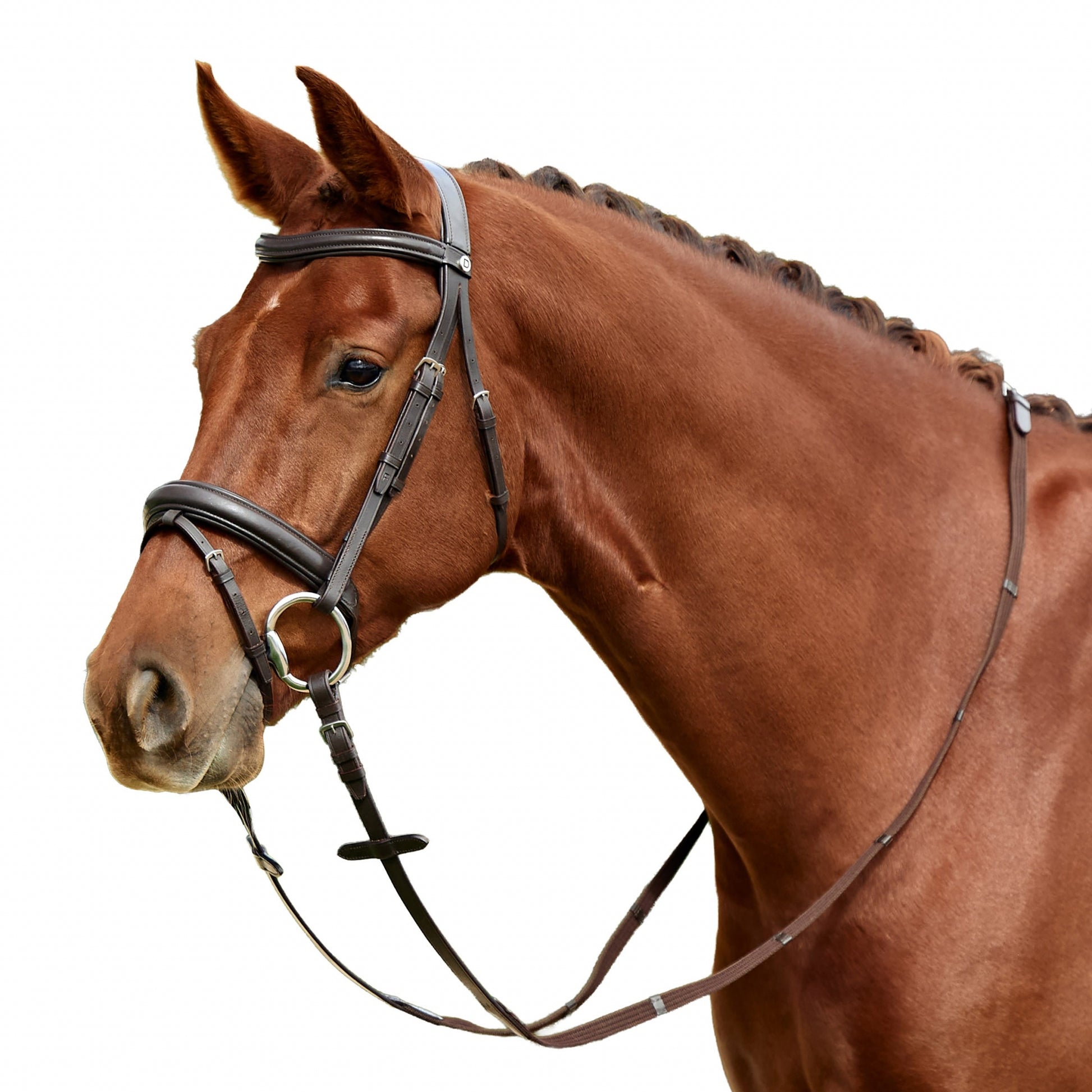 Dublin Padded Flash Bridle
