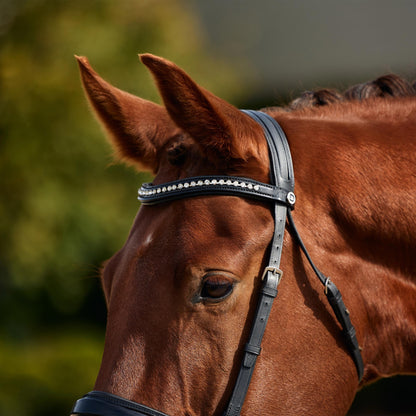 Dublin Padded Patent Flash Bridle
