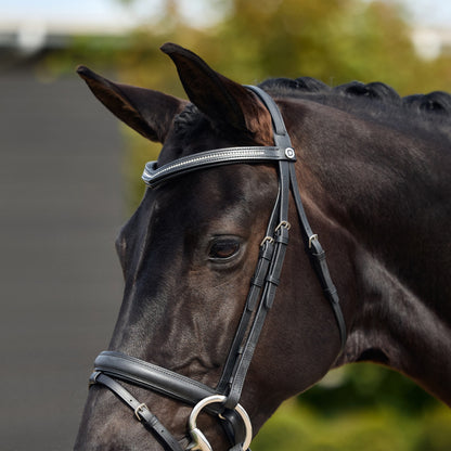 Dublin Crystal Flash Bridle