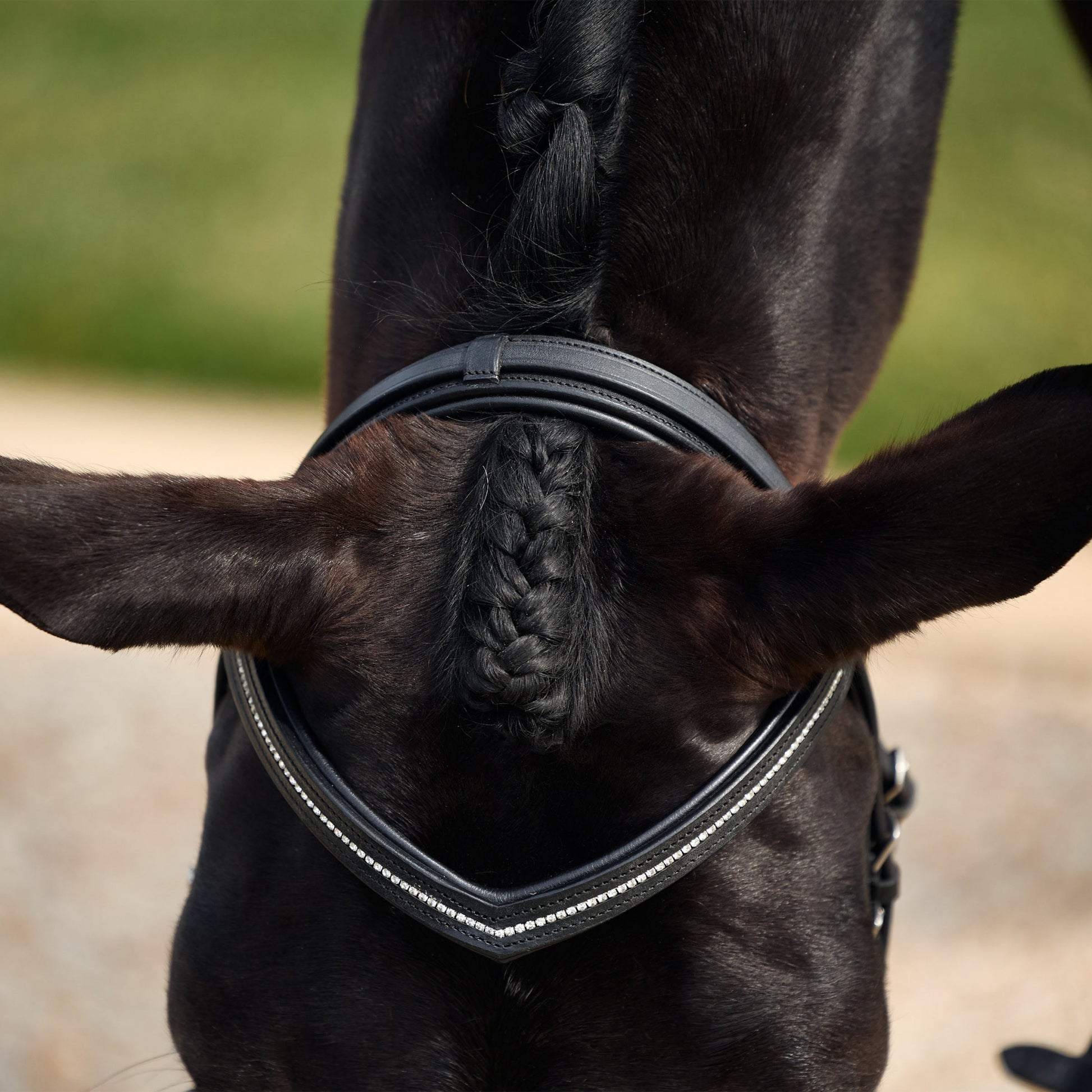 Dublin Crystal Flash Bridle