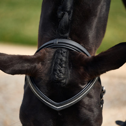 Dublin Crystal Flash Bridle