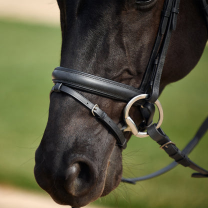 Dublin Crystal Flash Bridle